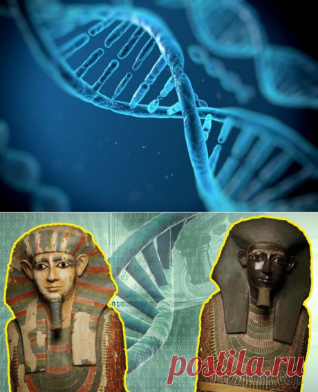 10 открытий, которые были сделаны благодаря анализу древних ДНК