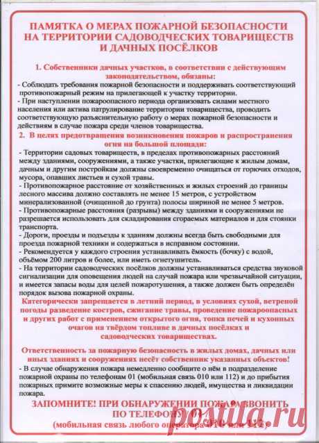 Дачники теперь обязаны обеспечивать пожарную безопасность на лесных участках