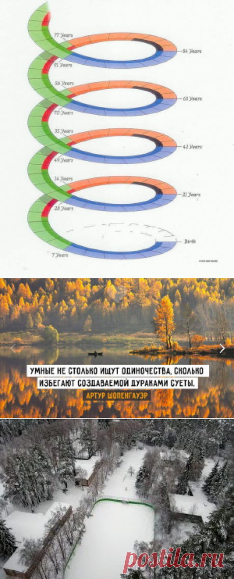 Семилетние циклы жизни человека