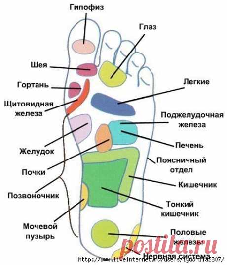 КАК СДЕЛАТЬ МАССАЖ СТОП СОГЛАСНО АЮРВЕДЕ.