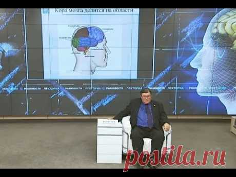Вселенная мозга  - Медведев Святослав