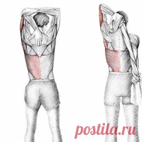 Растягивание меридианов: 6 упражнений для оздоровления всего организма