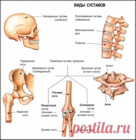 Проблемы со спиной можно исправить! Спасайте своих близких!