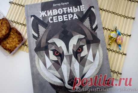 Много лет иллюстратор и детский писатель Дитер Браун путешествовал по всему миру, изучая внешний вид животных, их повадки и привычки, а потом создал серию выдающихся плакатов. В эту книгу вошли его лучшие работы, посвященные животному миру Северного полушария. Книга &quot;Животные Севера&quot; ( проведет нас по самым необычным местам Северного полушария. Вслед за афалиной мы окунемся в воды океана, вместе с кабаном поищем вкусные корешки на опушке леса, пройдем по следам верблюда сквозь…