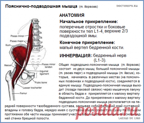 Синдром подвздошно-поясничной мышцы (psoas-syndrom)