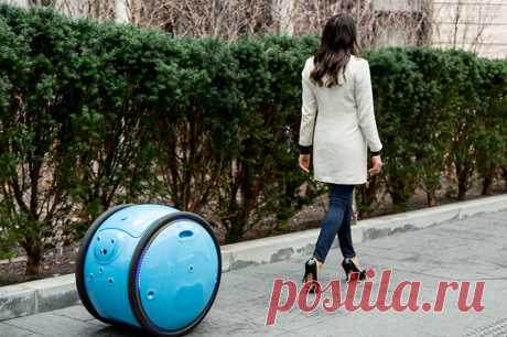 Изобретён робот-помощник, который умеет носить хозяйские вещи | Чёрт побери Если вы при просмотре «Звёздных войн» мечтали о собственном дроиде, который будет везде следовать за вами, носить ваши вещи и помогать делать работу по дому, то теперь ваша мечта вполне может стать реальностью.      Компания «Piaggio Fast Forward«, находящаяся в Бостоне (США), изобрела робота-помощника под названием «Гита», который ни в чём не уступает роботизированным героям из известной космическ...