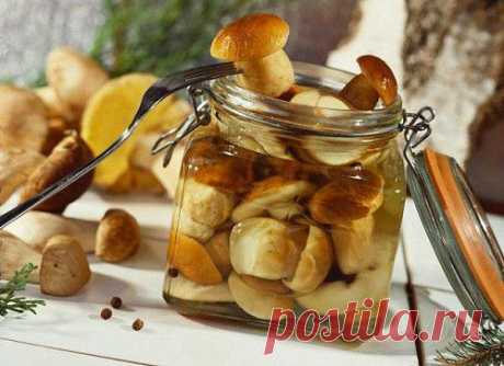 Маринованные грибы: 5 лучших рецептов / Простые рецепты