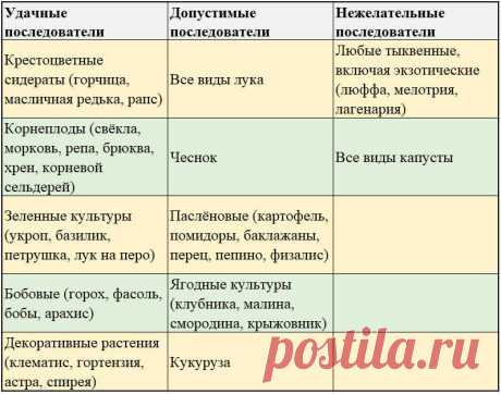 Больше не гадаю почему опадает завязь у огурцов. Теперь знаю все 11 причин и как их устранить И вам расскажу | Садовый рай 🌱 | Яндекс Дзен