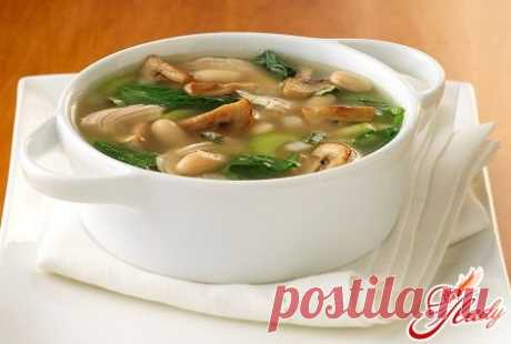 Грибной суп из свежих грибов: приготовление, рецепты