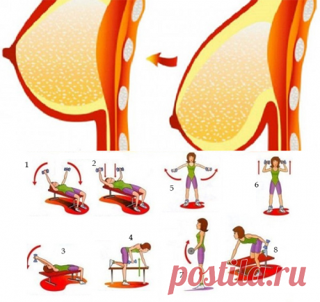 8 полезных упражнений для упругой груди