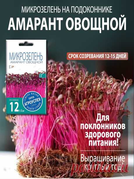 Где брать витамины зимой? Делюсь своими секретами | Движение - это жизнь | Дзен