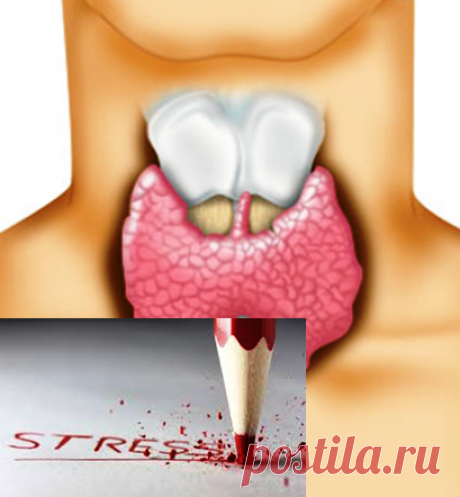 Психосоматика заболеваний щитовидной железы