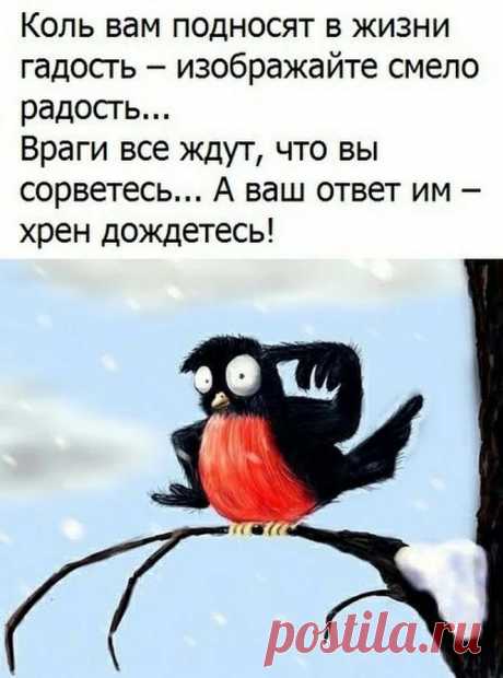 ТИХИЙ ОМУТ +18 – Google+