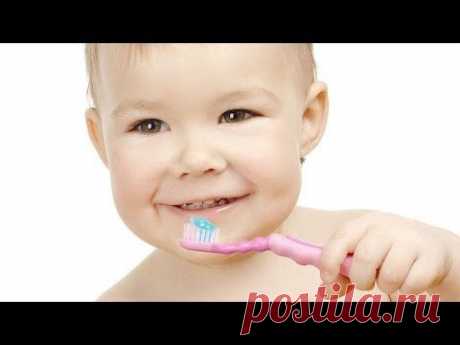 Как научить ребенка чистить зубы? Школа здоровья 19/04/2014 GuberniaTV - YouTube