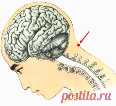 «Точка Конфуция»: особое место силы на теле человека Экология здоровья: В последнее время все большее распространение среди населения Земли приобретает хронический стресс. Его можно назвать одним из главных бичом XXI века. Обычно он развивается постепенно, нагнетаясь месяцами или даже годами, и изрядно портит нам жизнь и вызывает сбой в работе организма.