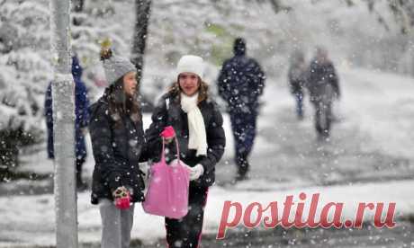 Первый снегопад обрушился на жителей Сербии (ВИДЕО) / Социальная погода