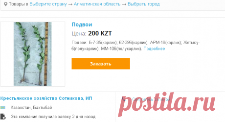 Подвои в Алматинской области. Купить подвои сравнить цены товаров - AllBiz Алматинская область