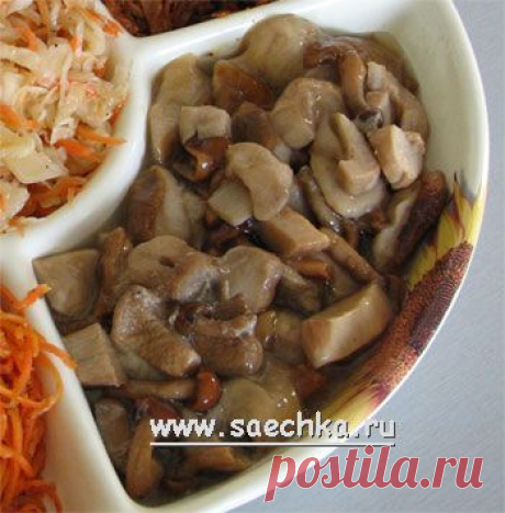Грибы с уксусом | рецепты на Saechka.Ru