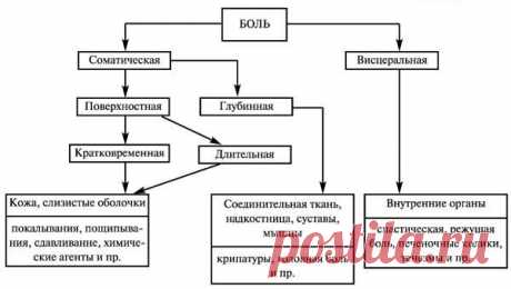 По полочкам: обезболивающие средства | Зожник - Наука о ЗОЖ | Яндекс Дзен