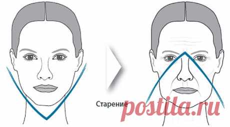 Символ молодости женщины — вовсе не лицо или шея, а щеки, упругость и свежесть которых является лучшим ее жизненным паспортом. Специалисты утверждают: пока щечки остаются круглыми и румяными как у ребенка, их обладатель (-ница) всегда будет оставаться в глазах окружающих молодым. Но если они начинают съезжать с лица, а то и вовсе превращаться в так называемые брыли — окружающие сразу накинут пяток-другой лишних лет.