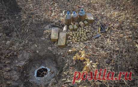 На севере ЛНР обнаружили схрон с оружием и боеприпасами ВСУ. Из тайника были изъяты автомат АКС-74, гранаты, запалы к ним, снаряженные пулеметные ленты и патроны различного калибра