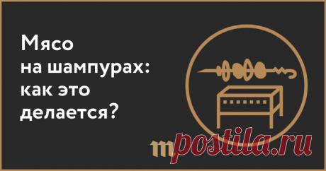 Мясо на шампурах: как это делается? : Общая теория шашлыка по версии Сергея Пархоменко — Meduza