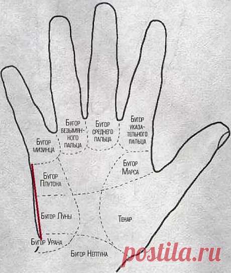 Интуитивные способности на руке | Леля Сережкина | Яндекс Дзен