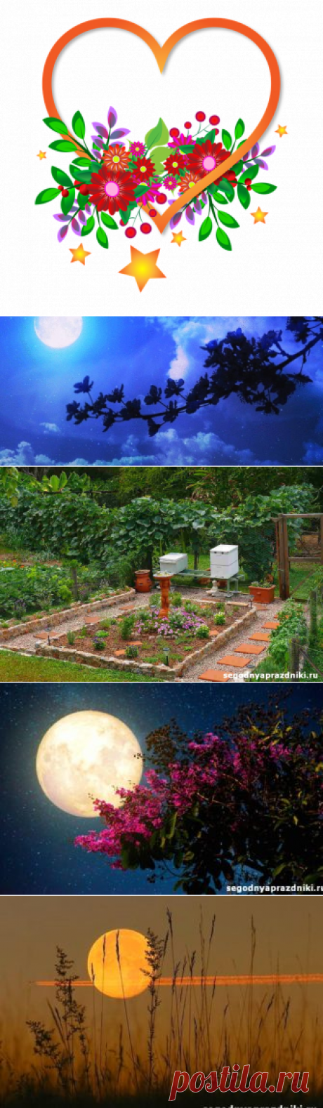 Лунный календарь садовода и огородника на март 2022г дни посадки