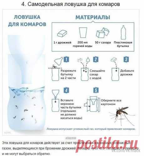 ​Как бороться с комариными укусами как предотвращать их — Полезные советы