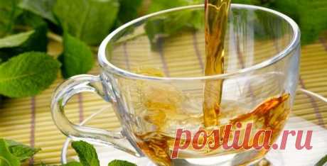 ༺🌸༻Желудочный чай: можно ли пить зеленый желудочно-кишечный напиток при гастрите желудка с повышенной кислотностью, отзывы