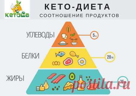 Соотношение продуктов или что нужно знать о модной ныне кето-диете | Кетоша.рф | Дзен