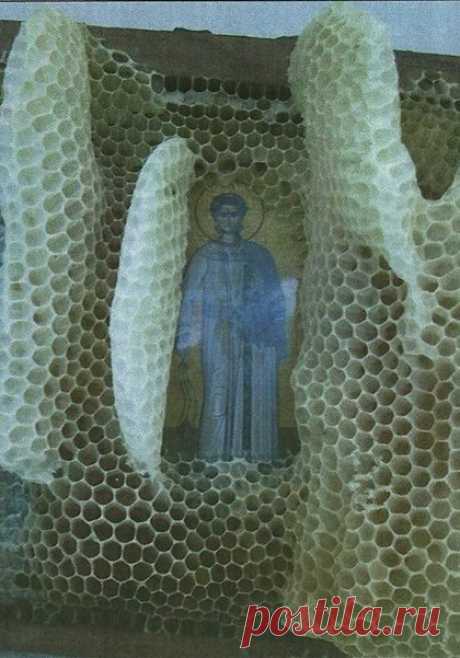 Святые отцы ☦ Православие on Twitter: &quot;Афонское чудо: Пчелы, возводя соты на иконе, не закрыли святые лики. https://t.co/MtzEn2DfOl&quot; / Twitter