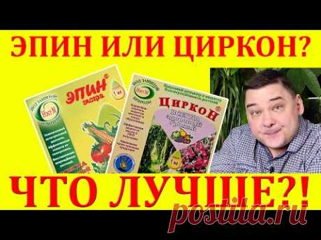 Эпин или Циркон: что лучше? Хотите узнать правду?)