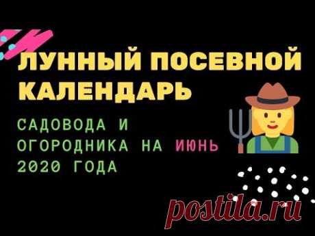 Лунный посевной календарь садовода и огородника на июнь 2020 года