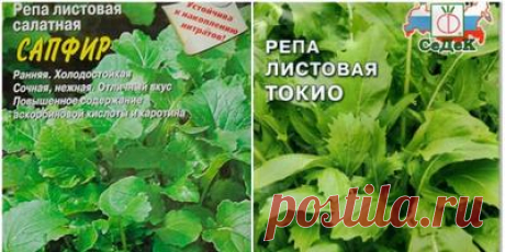 Журнал садовода VeraTyukaeva / 7dach.ru