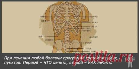 Если В Организме Нет «Трёх Загрязнений», То Нет Места Болезням