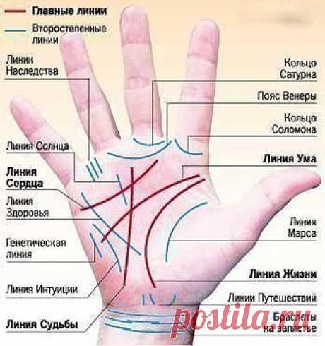 Профессия на ладони