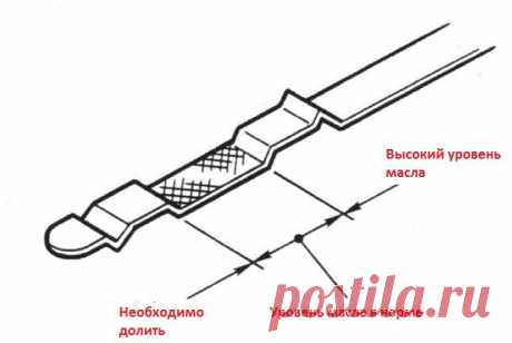 Самостоятельная замена масла в двигатели в автомобиля - инструкция