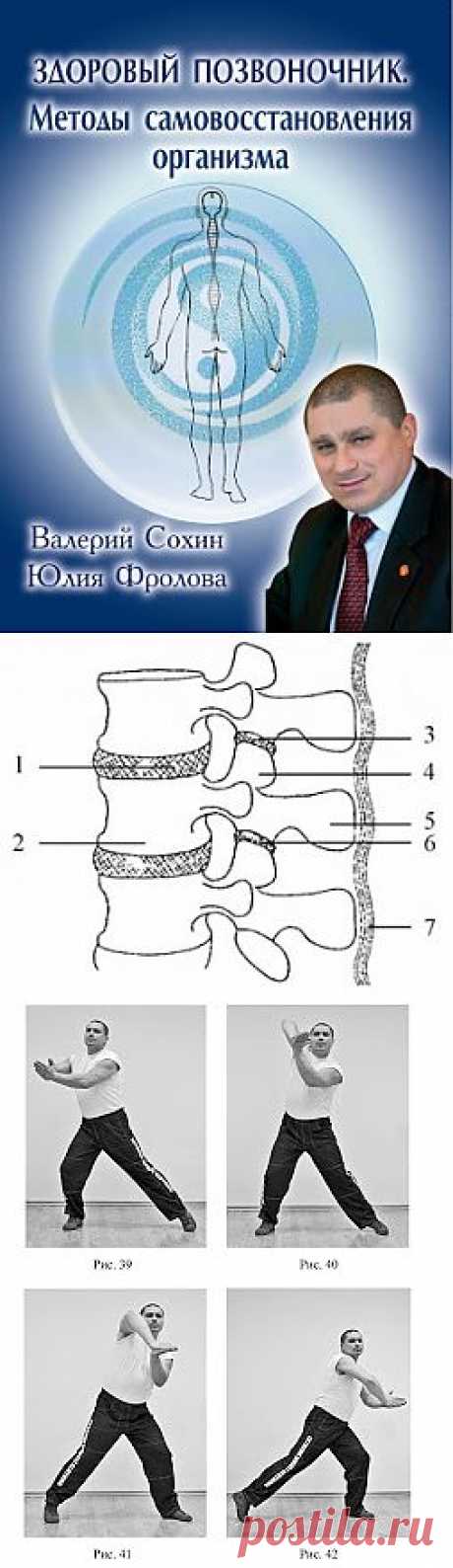 Валерий Сохин: ЗДОРОВЫЙ ПОЗВОНОЧНИК. МЕТОДЫ САМОВОССТАНОВЛЕНИЯ ОРГАНИЗМА