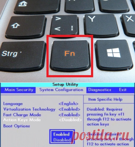 Вот для чего нужна клавиша Fn на ноутбуках!