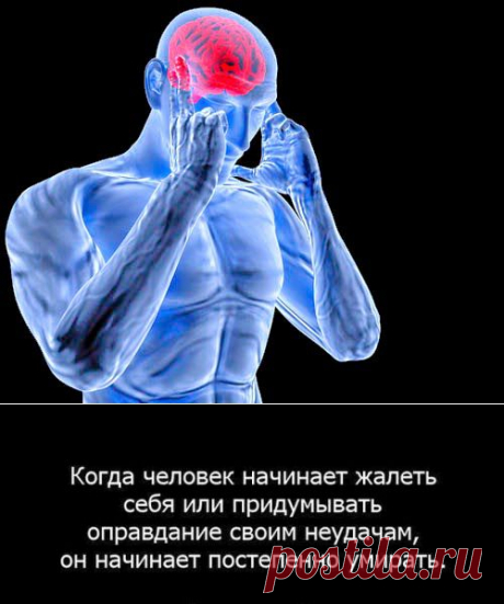 Правило № 1. Вы должны учиться.
ПСИХОЛОГИЯ УСПЕХА...ПОЧЕМУ ОДНИ УСПЕШНЫ А ДРУГИЕ НЕТ...Независимо от того, какого рода деятельностью вы занимаетесь, найдите себе наставника. Это поможет вам использовать свои способности с максимальной отдачей. К тому же, весьма вероятно, что ваш наставник тоже получит огромное удовлетворение. Помните: правильный выбор наставника поможет вам найти кратчайший путь туда, куда вы хотите попасть.