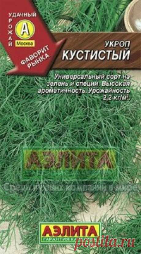 Семена. Укроп "Кустистый" (вес: 3 г) Всхожесть: 73%.
Среднеспелый сорт, от всходов до уборки на зелень 28-40 дней, на специи 70-80 дней. Высота растений в фазе цветения 150-180 см. Сорт отличается сильной облиственностью растений и высокими товарными качествами зелени. Розетка листьев приподнятая, формирует 10-12 крупных...