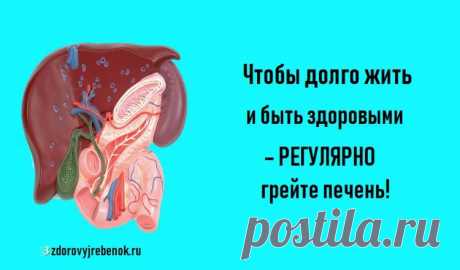 Чтобы долго жить и быть здоровыми – регулярно грейте печень! Чтобы долго жить и быть здоровыми – регулярно грейте печень!Древние люди боготворили, чтили печень и полагали, что она является не только