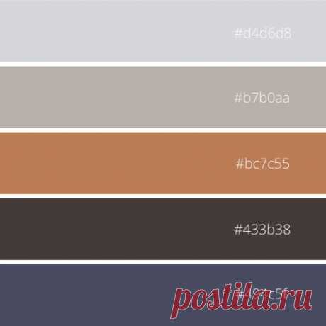 Серый, коричневый, оранжевый и синий
Гармоничное и целостное сочетание оттенков в неярких тонах отлично подходит для неброского и одновременно притягательного интерьера, базового и вариативного гардероба.
Начнем с гардероба.
Четыре из пяти оттенков помогут составить базовые комплекты, подобрать верхнюю одежду, которая будет модной долгое время — D4D6D8, B7B0AA,
433B38 и 494C5F.
В оттенках серого и коричневого, синего можно подобрать: костюмы, платья, брюки, жакеты, жилеты,...