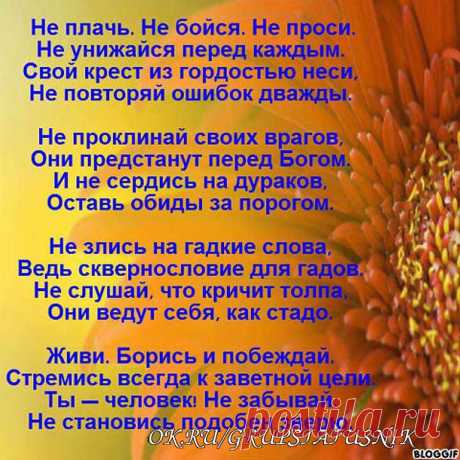 Одноклассники