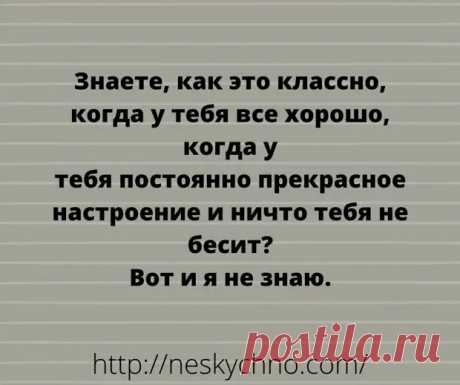 20 c небольшим взрывных анекдотов для отличного времяпровождения - Смехотерапия - медиаплатформа МирТесен