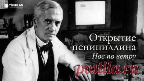 Открытие пенициллина и… история из детства Александра Флеминга…Не так давно весь Интернет цитировал трогательный рассказ. Однако после лекций по системно-векторной психологии именно эта &quot;История о доброте&quot; (как ее позиционируют сайты позитивных новостей) заставила меня углубиться в изучение персонажей и собственно источника вопроса.