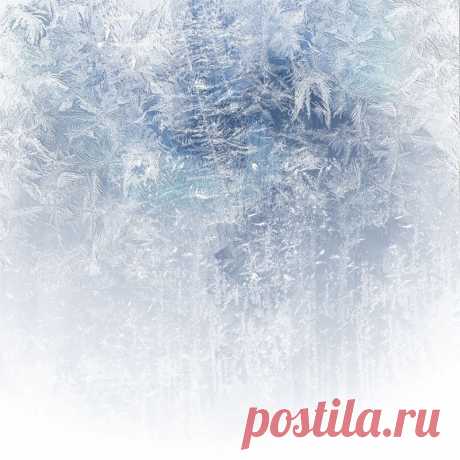 Зима на белом фоне (93 фото) » ФОНОВАЯ ГАЛЕРЕЯ КАТЕРИНЫ АСКВИТ