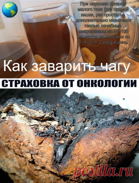 (5) Одноклассники