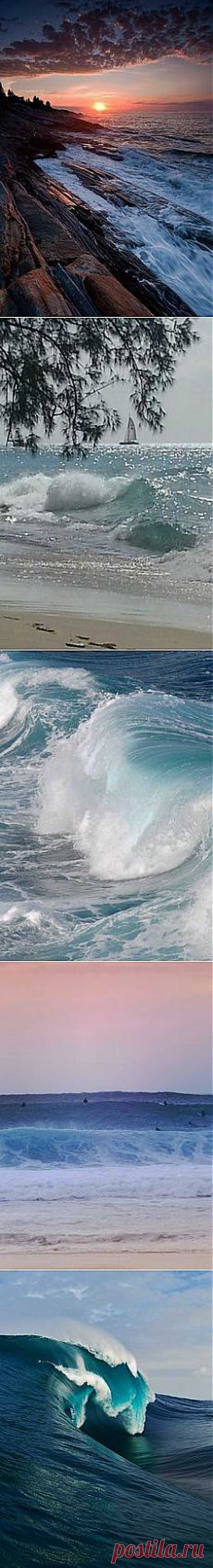 Ocean In Motion в Pinterest | Пинов: 1034